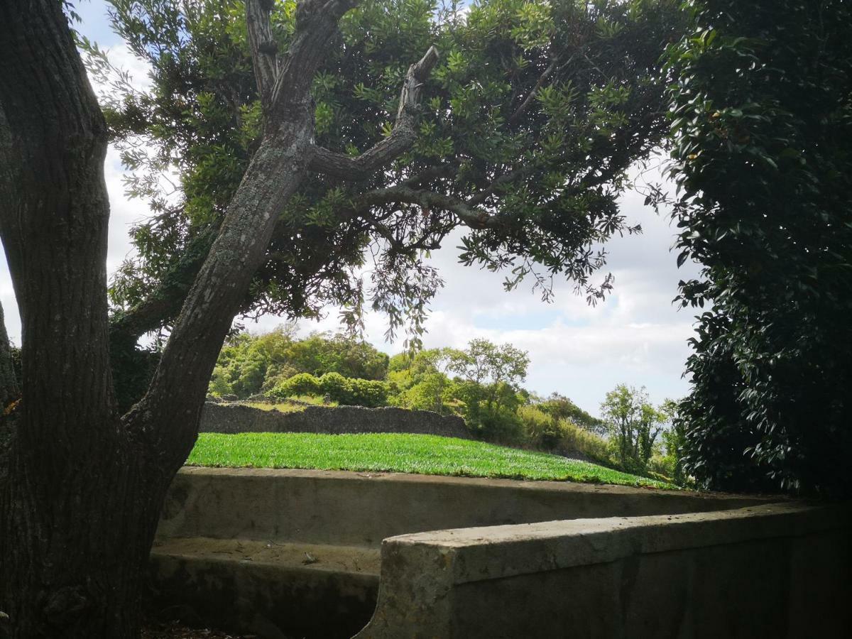 Quinta Das Camelias - Acores Ponta Delgada المظهر الخارجي الصورة